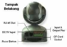Network Camera Rear